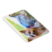 ヨークシャーテリアーヨークシャーテリアお気に入りのブリード マグネット (右側)