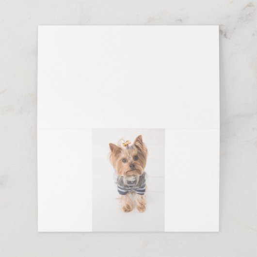 ヨークシャーテリア入りセーター プレイスカード (外部開封)