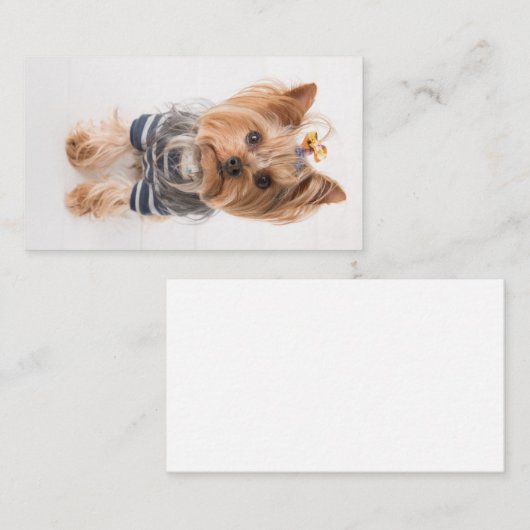 ヨークシャーテリア入りセーター 名刺 (正面/裏面)