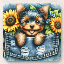 ヨークシャーテリア入り