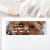 ヨークシャーテリア宛名ラベル ラベル (インサイチュ)