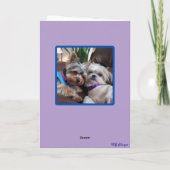 ヨークシャーテリア対シーズー(犬)TZUカード カード (裏面)