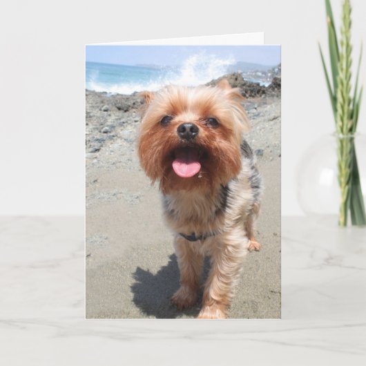 ヨークシャーテリア恋しく思ユー カード (正面)