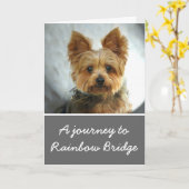 ヨークシャーテリア悔やみや弔慰カード カード (黄色い花)