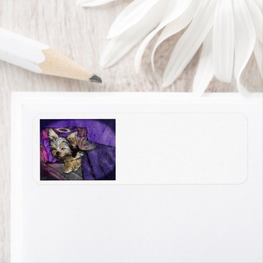 ヨークシャーテリア損失記憶差出人住所ラベル ラベル (インサイチュ)