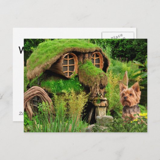 ヨークシャーテリア新しいアドレス 案内ポストカード (正面/裏面)