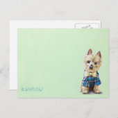 ヨークシャーテリア犬はがき ポストカード (正面/裏面)