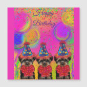 ヨークシャーテリア (正面)