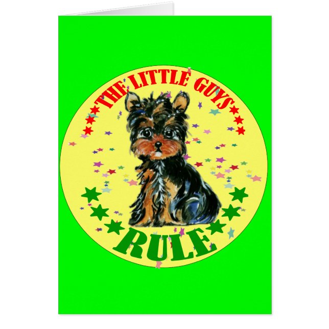 ヨークシャーテリア (正面)