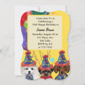 ヨークシャーテリア (正面)