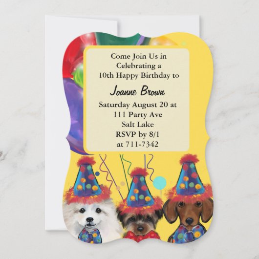 ヨークシャーテリア (正面)