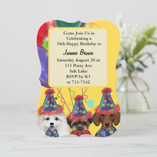 ヨークシャーテリア (スタンド正面)