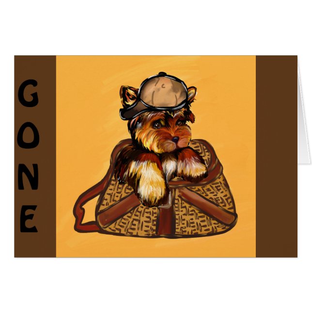 ヨークシャーテリア (正面横)