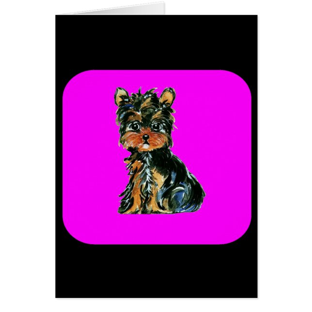 ヨークシャーテリア (正面)