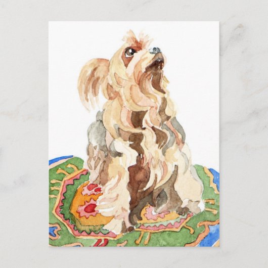 ヨークシャーテリア2012 ポストカード (正面)