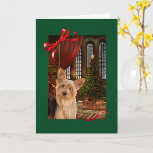 ヨークシャーテリア カード (黄色い花)