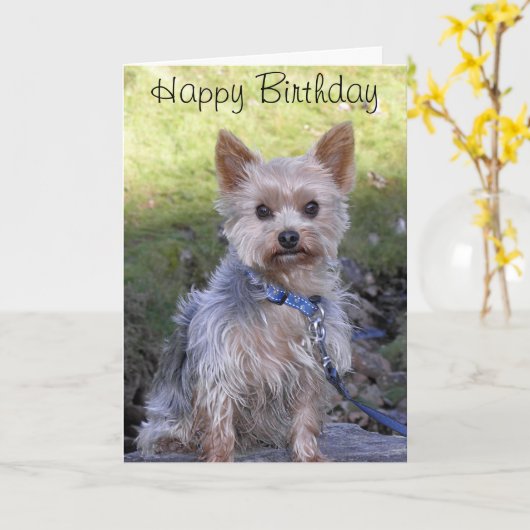 ヨークシャーテリア カード (黄色い花)