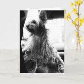 ヨークシャーテリア カード (黄色い花)