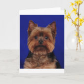 ヨークシャーテリア カード (黄色い花)