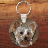 ヨークシャーテリア キーホルダー (正面)