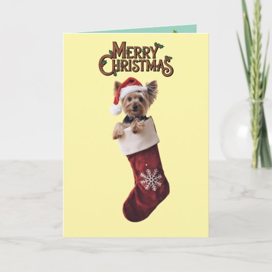 ヨークシャーテリア サンキューカード (正面)