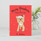 ヨークシャーテリア シーズンカード (スタンド正面)