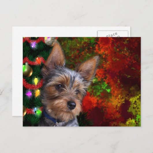 ヨークシャーテリア シーズンポストカード (正面/裏面)