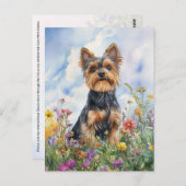 ヨークシャーテリア – ポストカード (正面/裏面)