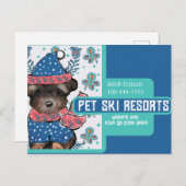 ヨークシャーテリア ポストカード (正面/裏面)