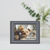 ヨークシャーテリア ポストカード (スタンド正面)