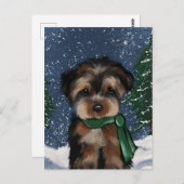 ヨークシャーテリア ポストカード (正面/裏面)