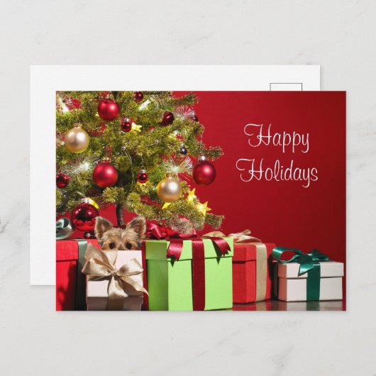 ヨークシャーテリア ポストカード (正面/裏面)