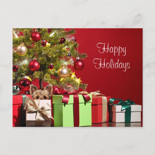 ヨークシャーテリア ポストカード (正面)