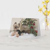 ヨークシャーテリア(ヨークシャーテリアバレンタイン) カード (黄色い花)