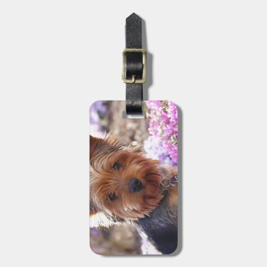 ヨークシャーテリア ラゲッジタグ (正面縦)