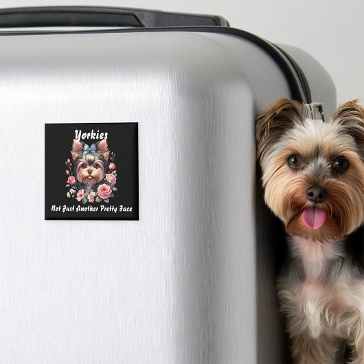 ヨークシャーテリア、単なる別のかわいらし顔 マグネット