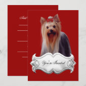 ヨークシャーテリア 子犬 赤 招待状 (正面/裏面)