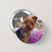 ヨークシャーテリア 缶バッジ (正面&裏面)