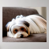 ヨークシャーテリア, Yorkshire Terrier, Experience Ennui ポスター (正面)