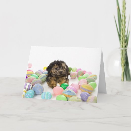 ヨークシャーテリアpooの子犬およびイースターエッグ シーズンカード (正面)