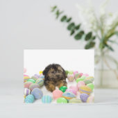 ヨークシャーテリアpooの子犬およびイースターエッグ シーズンポストカード (スタンド正面)