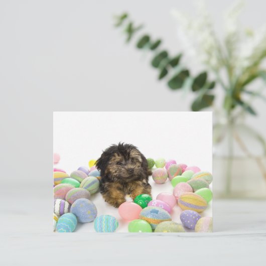 ヨークシャーテリアpooの子犬およびイースターエッグ シーズンポストカード (スタンド正面)
