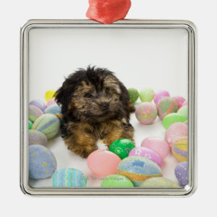 ヨークシャーテリアpooの子犬およびイースターエッグ メタルオーナメント