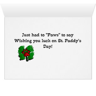 ヨークシャーテリアSt patricks
