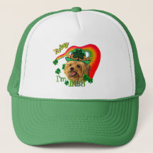 ヨークシャーテリアSt patricks