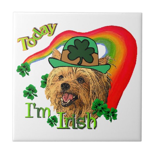 ヨークシャーテリアSt patricks タイル (正面)
