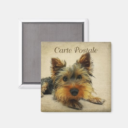 ヨークシャーヴィンテージはがき マグネット (正面/裏面)