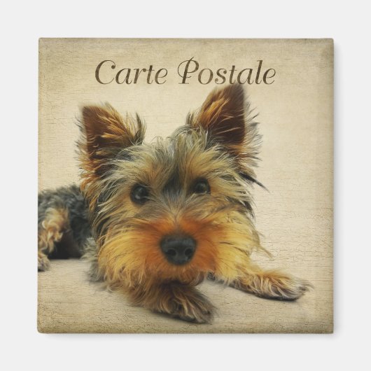 ヨークシャーヴィンテージはがき マグネット (正面)