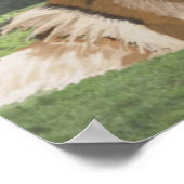 ヨークシャー・ダレスに対するラフ・コリー ポスター (角)