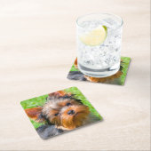 ヨークシャー・テリアが見上げる スクエアペーパーコースター (インサイチュ)